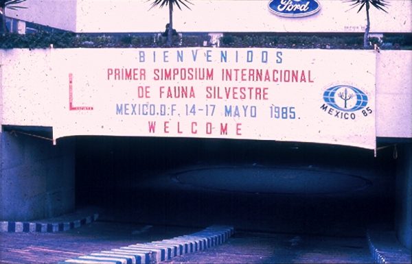 Manta de bienvenida a la entrada del estacionamiento Hotel María Isabel Sheraton